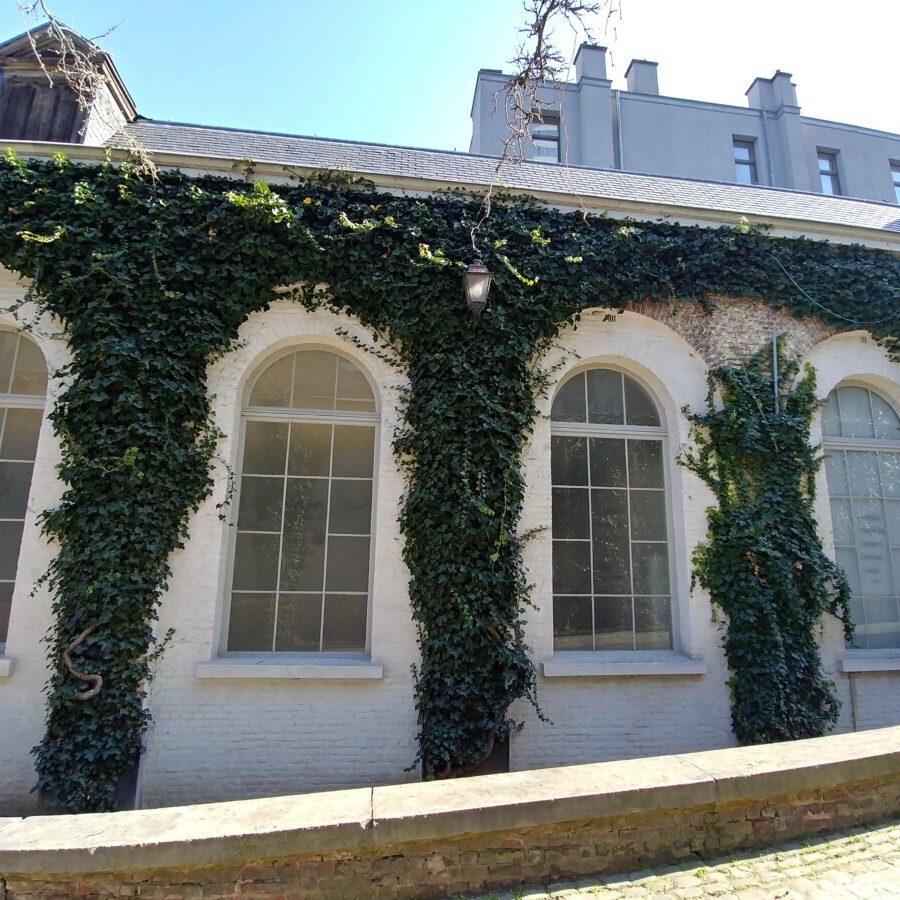 ISELP - Toiture inclinée - Couverture en ardoises naturelles