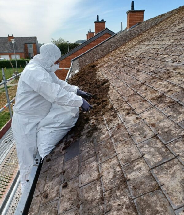 Intervention spécifique de toiture par un ouvrier en combinaison de protection