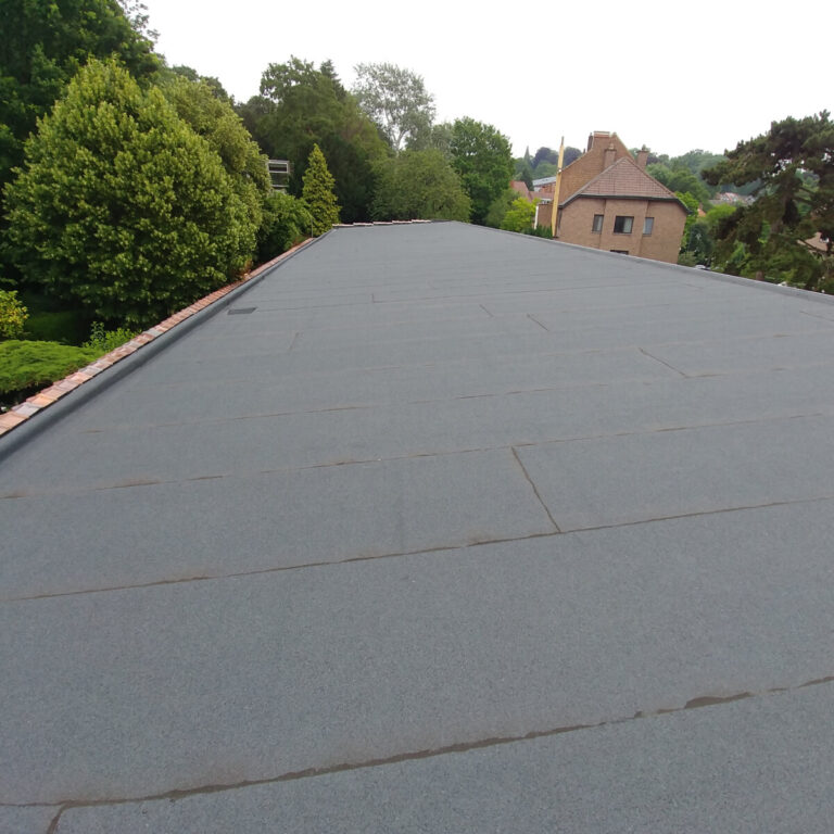 École Sainte-Alène à Forest