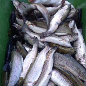 Team building - Pêche